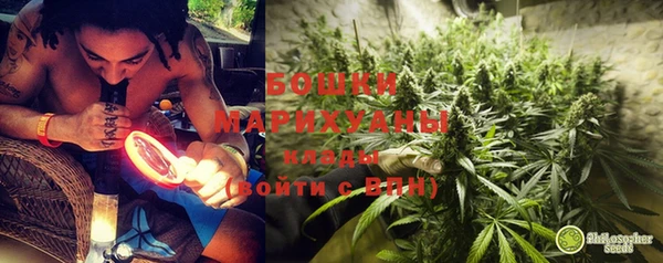 бошки Новозыбков