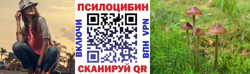 Галлюциногенные грибы MAGIC MUSHROOMS  Миньяр 